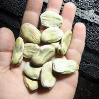باقلا|خوردنی و آشامیدنی|تهران, انبار نفت|دیوار