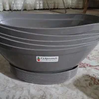 ۱۰ عدد گلدان بزرگ محکم پلاستیکی نشکن سالم|گل و گیاه طبیعی|تهران, تهرانپارس شرقی|دیوار