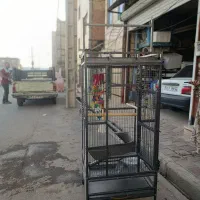 قفس بزرگ طوطی در حد نو