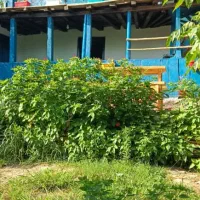 اقامتگاه سنتی جنگلی دربست|اجارهٔ کوتاهمدت ویلا و باغ|رشت, حومه رشت|دیوار