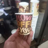 لیوان یکبارمصرف کاغذی|ظروف نگهدارنده، پلاستیکی، یک‌بارمصرف|زنجان, |دیوار