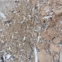 کود کبوتر ،کفتر