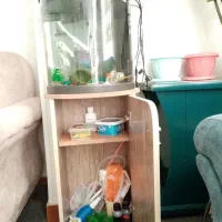 آکواریوم نیم دایره ماهیران|ماهی|شهریار, شهرک وائین|دیوار