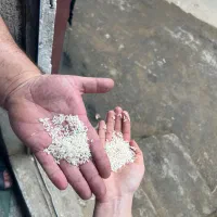 خرید با کیفیت و با قیمت مناسب از تولیدکننده