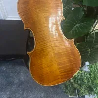 ویلن اروپایی|ویولن|تهران, دکتر هوشیار|دیوار