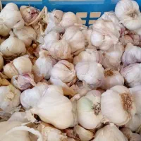 میوه  وسایل ترشی سرکه|خوردنی و آشامیدنی|رباطکریم, شترخوار|دیوار