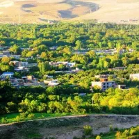 باغ شهری رویاهات