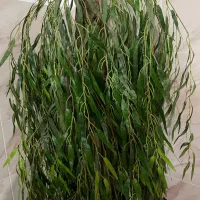 درخت بید مجنون مصنوعی|گل مصنوعی|قم, حنیف نژاد|دیوار