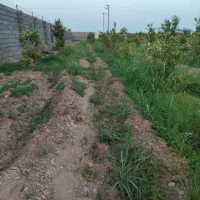 باغچه-5000متری-جهت-ساخت-ویلا-باغ-در-جاده-خوشبختی