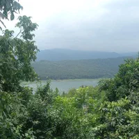 برای پیاده روی