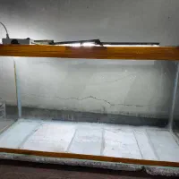 آکواریوم طول 100|ماهی|خمینیشهر, |دیوار