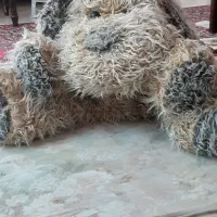 عروسک سگ بزرگ