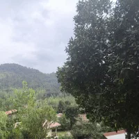 ویلا جنگلی