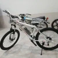 دوچرخه اکو چیاوا|دوچرخه، اسکیت، اسکوتر|بجنورد, |دیوار