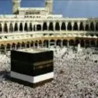 فروش فیش حج عمره|تور و چارتر|بندرعباس, |دیوار