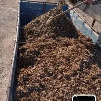 فروش وحمل انواع کودوخاک باغچه|خدمات باغبانی و درختکاری|بیرجند, |دیوار