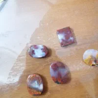 شجر|بدلیجات|یزد, |دیوار