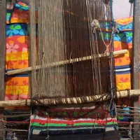 دار قالی|گلیم، جاجیم، گبه|آبادان, |دیوار