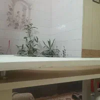 میز ناهارخوری ۶نفره|میز و صندلی غذاخوری|شیراز, شهرک سراج‎|دیوار