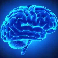 جزوه مدیتیشن هیپنوتیزم مراقبه هاله چاکرا انرژی