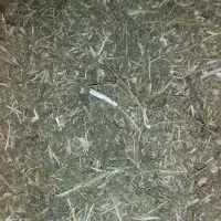 فروش کاه لوبیا چیتی در شهر گرماب