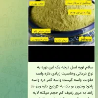 نوره اصل خاصیت درمانی اصل بدون بو