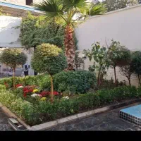 تعویض خاک گلدان و باغچه کاری گیاه پزشک در محل