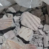کاتالیزور