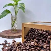 فروش عمده قهوه و پودرهای تخصصی/ارسال فوری و رقابتی