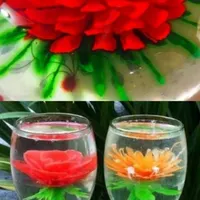 آموزش تخصصی ژله تزریقی|خدمات آموزشی|بندرعباس, |دیوار