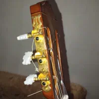 گیتار پاپ|گیتار، بیس، امپلیفایر|اسکو, |دیوار