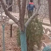 باغبانی و درختکاری، هرس کردن تیلر زدن کودوگل|خدمات باغبانی و درختکاری|مشهد, احمدآباد|دیوار