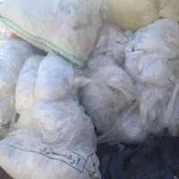 کارگردرکارگاه ضایعات مشنبا