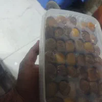 خرما و رطب برحی شهریور|خوردنی و آشامیدنی|قم, صفائیه|دیوار