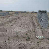 زمین کشاورزی