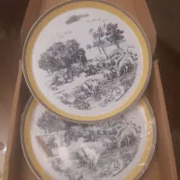 دیس های چینی بسیار زیبا و دیس ماهی نو با جعبه|ظروف سرو و پذیرایی|تهران, اباذر|دیوار