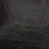 اجاره ۵ هکتارزمین کشاورزی