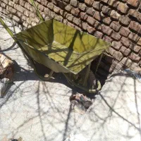 فرقون درحد کاملا نو