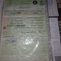 مدارک پیدا شده|اشیا|دهدشت, |دیوار