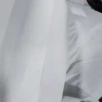 کاغذسفید الگو... روزنامه