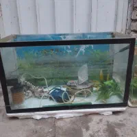 آکواریوم شرکتی و بزرگ|ماهی|دشتابی, |دیوار