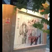 دکورسفیدطلای ارایشگا