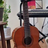 گیتار کلاسیک C40