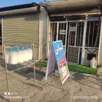 ماست بندی محلی لادی|خوردنی و آشامیدنی|سقز, |دیوار