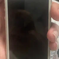 موبایل|موبایل|قائمشهر, |دیوار