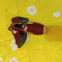 مانتو شلوار کفش ست|لباس|چناران, |دیوار