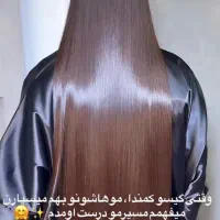 موخوره گیری|خدمات آرایشگری و زیبایی|ساری, |دیوار