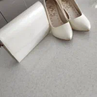 کیف کفش مجلسی