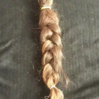 موسر|آرایشی، بهداشتی، درمانی|سنقر, |دیوار