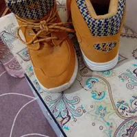 پوتین آمریکایی جنس عالی